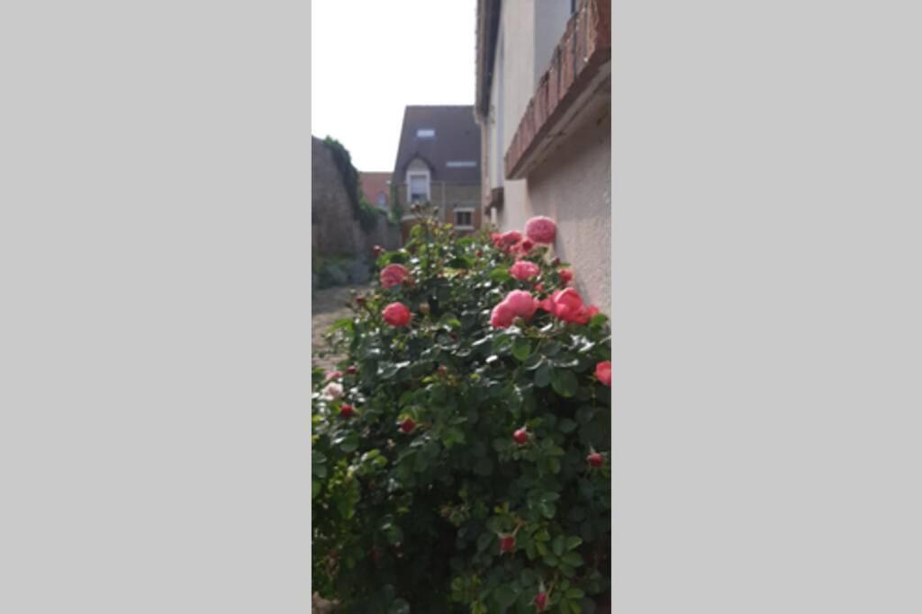 Villa La Cour Pavée Boulogne-sur-Mer Exterior foto